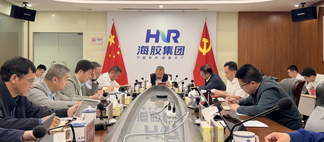 海南橡膠召開(kāi)黨委會(huì)（擴(kuò)大）會(huì)議 研究部署學(xué)習(xí)教育等工作